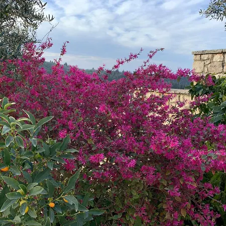 Opera House Paxos Maison d'hôtes 4*
