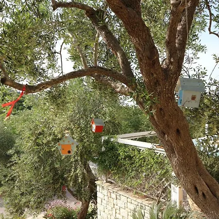 Opera House Paxos ゲストハウス