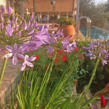 ゲストハウス Opera House Paxos ガイオス